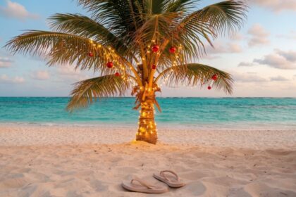 vacanze di Natale - best five